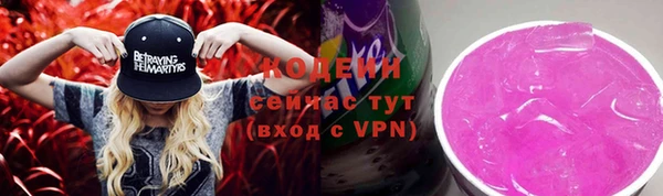 соль ск Белокуриха