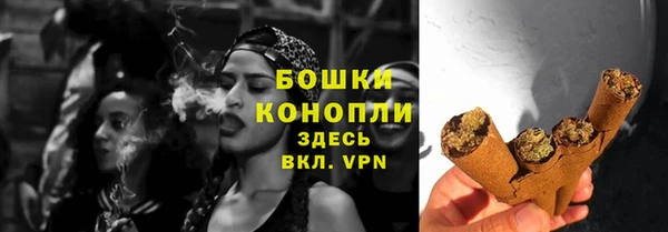соль ск Белокуриха