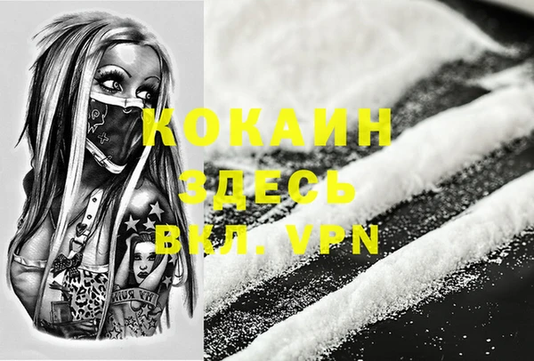 соль ск Белокуриха