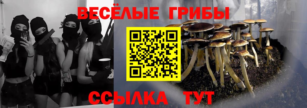 Вязники  Галлюциногенные грибы Psilocybe  Псилоцибиновые грибы Magic Shrooms  Вход с VPN 