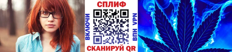 что такое Вязники Шишки марихуана OG Kush